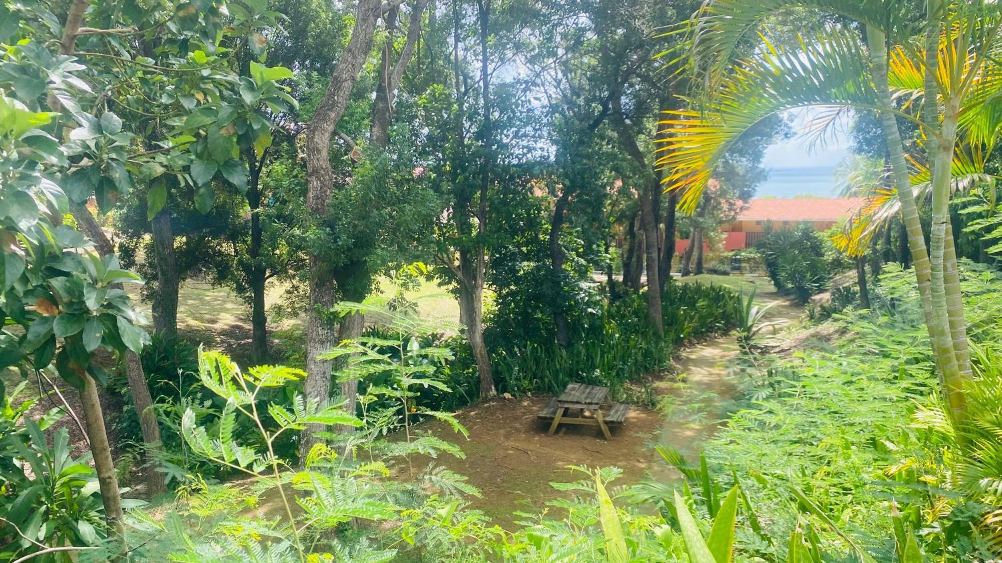Villa Secret Garden Sainte-Anne Esterno foto